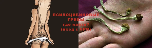 первитин Абинск